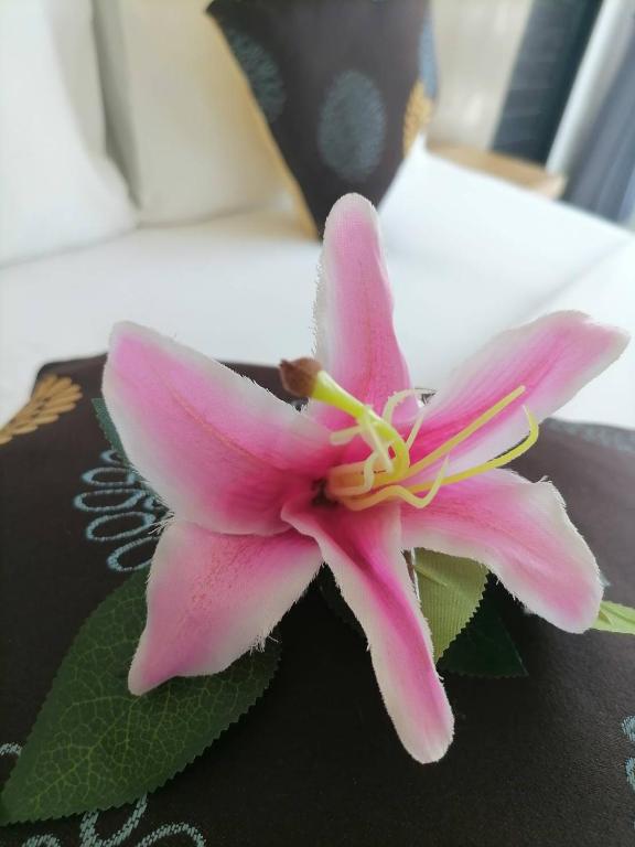 Fotografie z fotogalerie ubytování NJ PATONG HOTEL v destinaci Pláž Patong