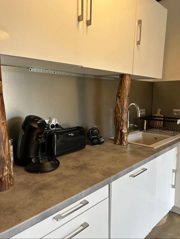 Kuchyň nebo kuchyňský kout v ubytování Charmant logement