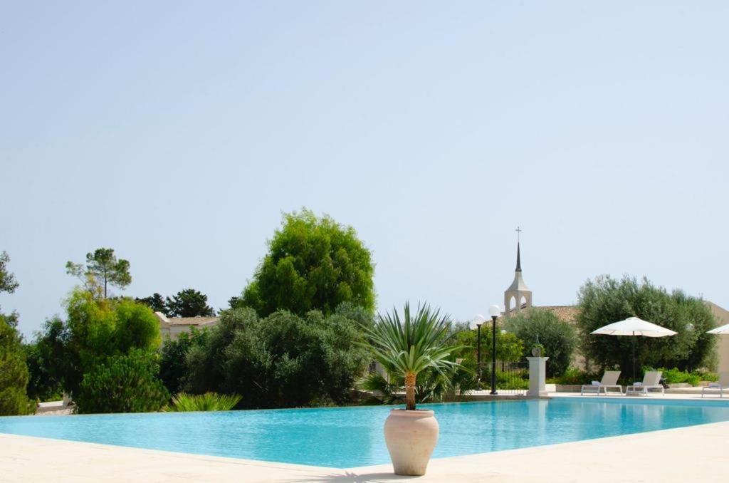 una piscina con una palmera en el medio en Borgo Vita Novella, en Marzamemi