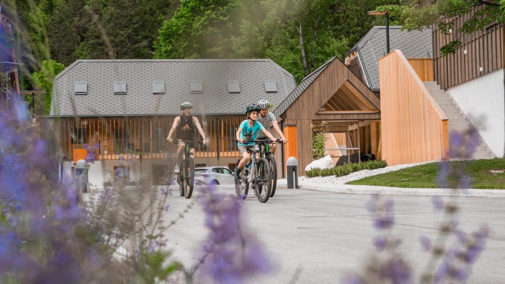 Hosté ubytování Residence Soča