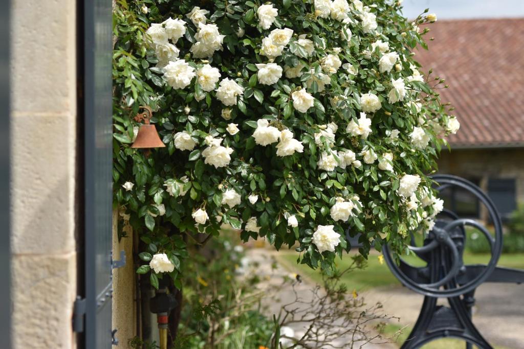 Jardin de l'établissement Un jardin et trois maisons