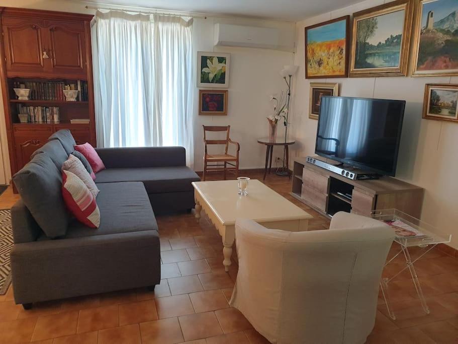 a living room with a couch and a tv at Maison T4, campagne Provençale calme, tout confort in Lambesc