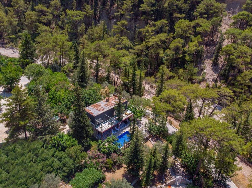 費特希耶的住宿－KIDRAK PREMIUM VILLAS，树林中房屋的空中景观