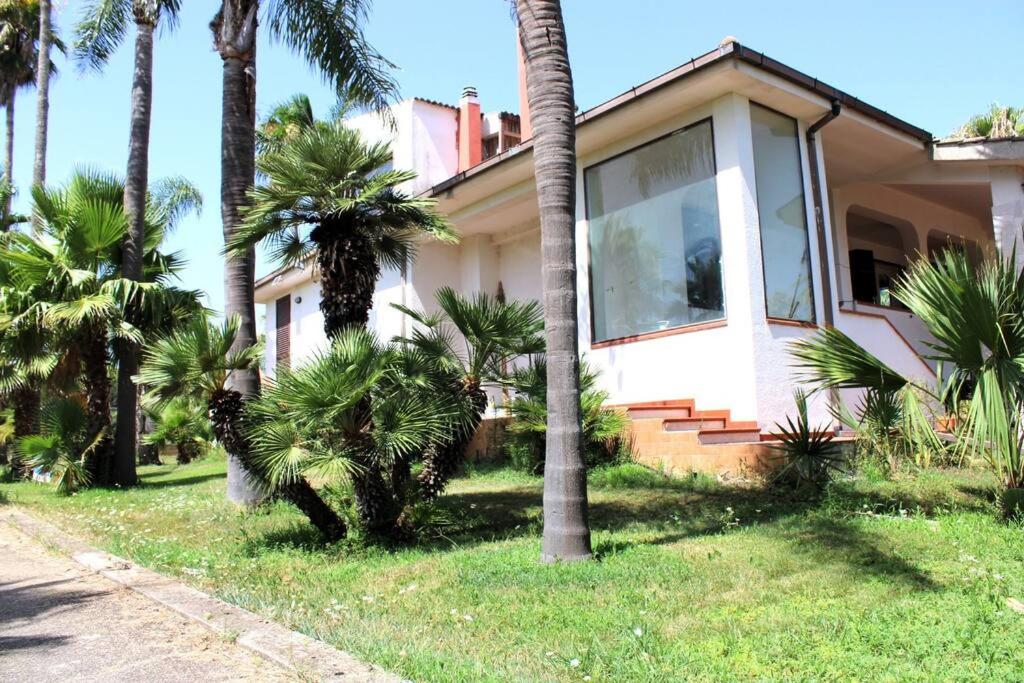 ein Haus mit Palmen davor in der Unterkunft Tropical Garden in Lequile
