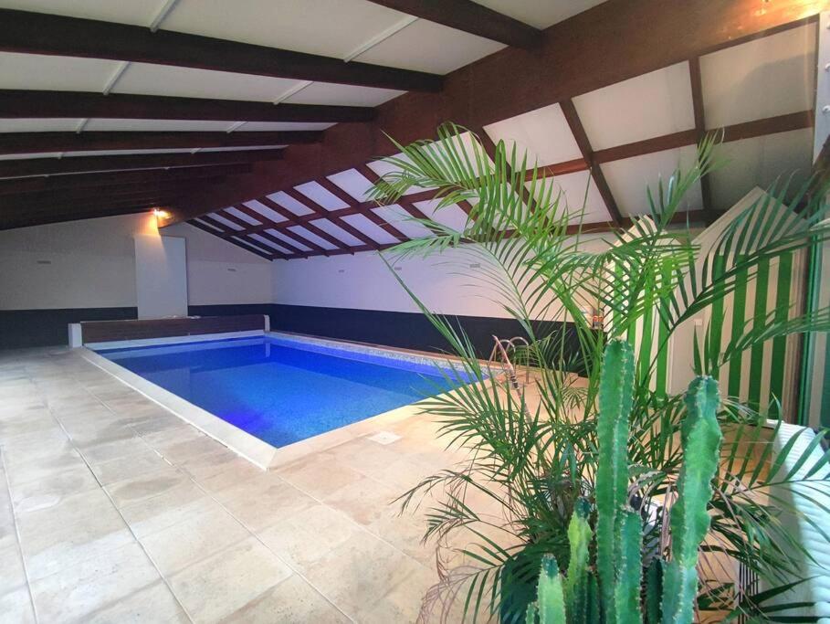ein Pool in einem Zimmer mit einer Pflanze in der Unterkunft Gite LE 45 TOURS in Nueil-sous-les-Aubiers