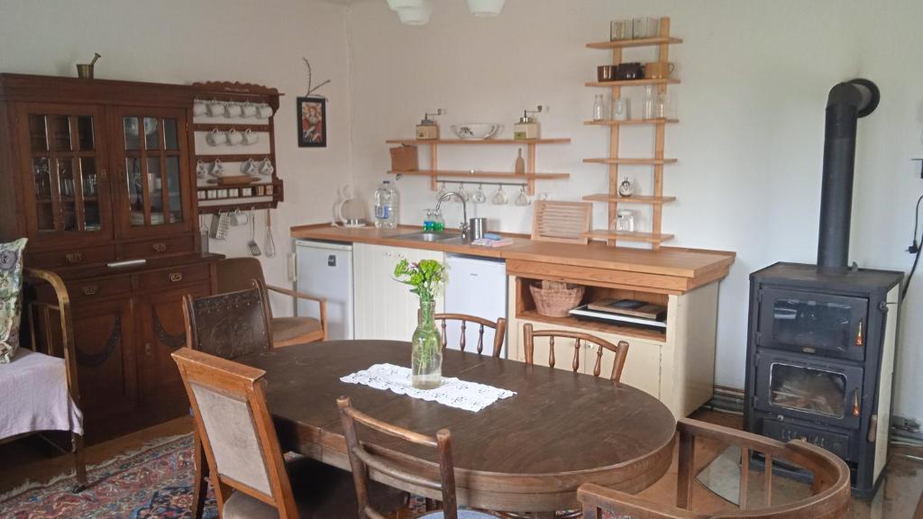 Kuchyň nebo kuchyňský kout v ubytování Apartmán Malá Turná