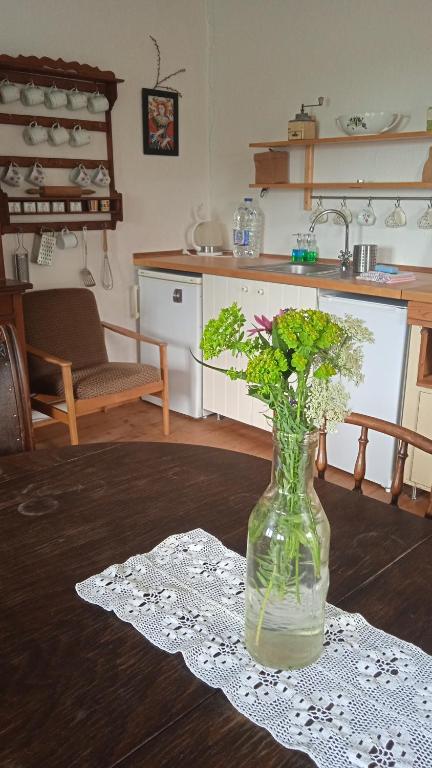 Kuchyň nebo kuchyňský kout v ubytování Apartmán Malá Turná