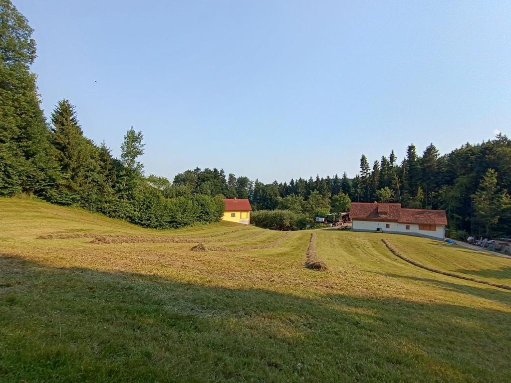 Ferienhaus Grabenhansl - Three-Bedroom House