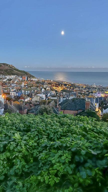 a view of a city from a hill with green vegetation at St Marys Apartment in Hastings