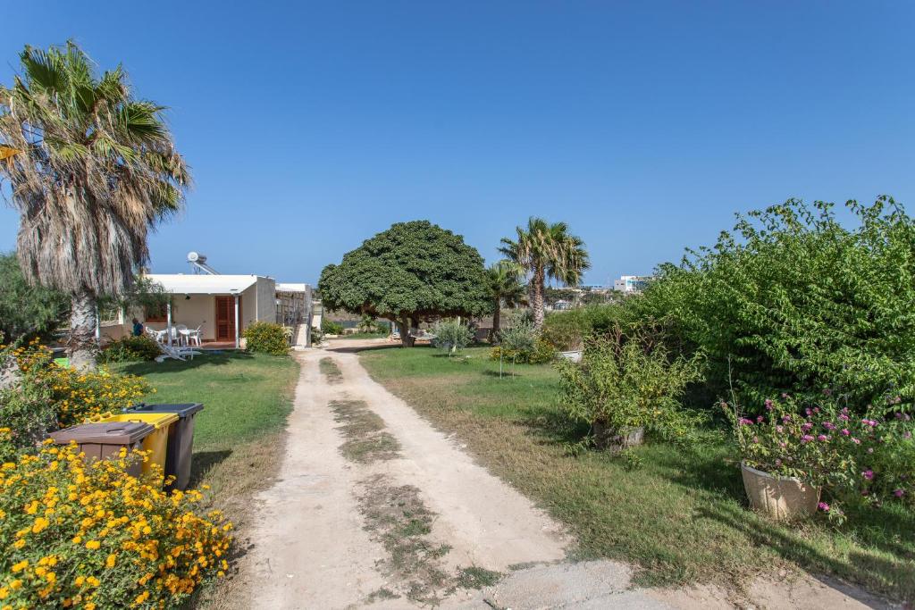eine unbefestigte Straße in einem Hof mit Bäumen und Blumen in der Unterkunft Oasi di Cala Pisana in Lampedusa