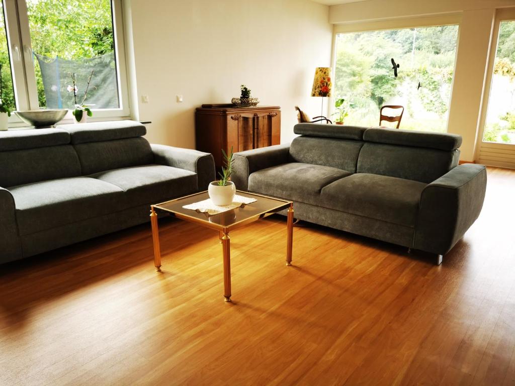ein Wohnzimmer mit 2 Sofas und einem Couchtisch in der Unterkunft Charmantes Ferienhaus Casa Ella mit Balkon in Siegen