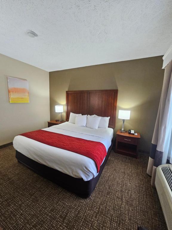Comfort Inn Jackson I-40 - 