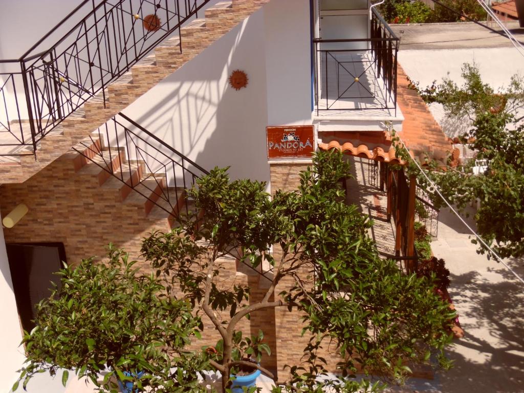 Pansion Pandora - 14