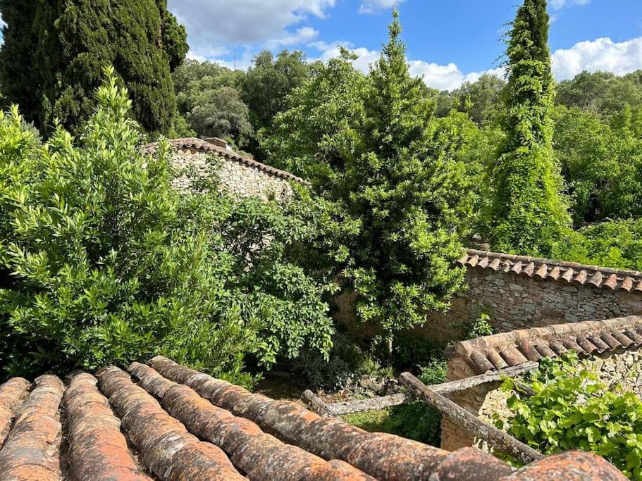 an overhead view of a roof with trees in the background at Casa Rural en Galaroza in Galaroza