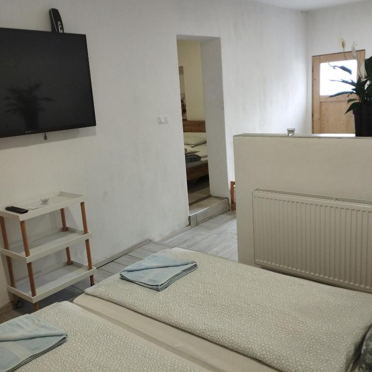TV a/nebo společenská místnost v ubytování Apartmány 77