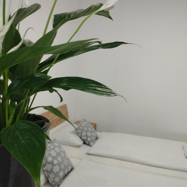 Postel nebo postele na pokoji v ubytování Apartmány 77
