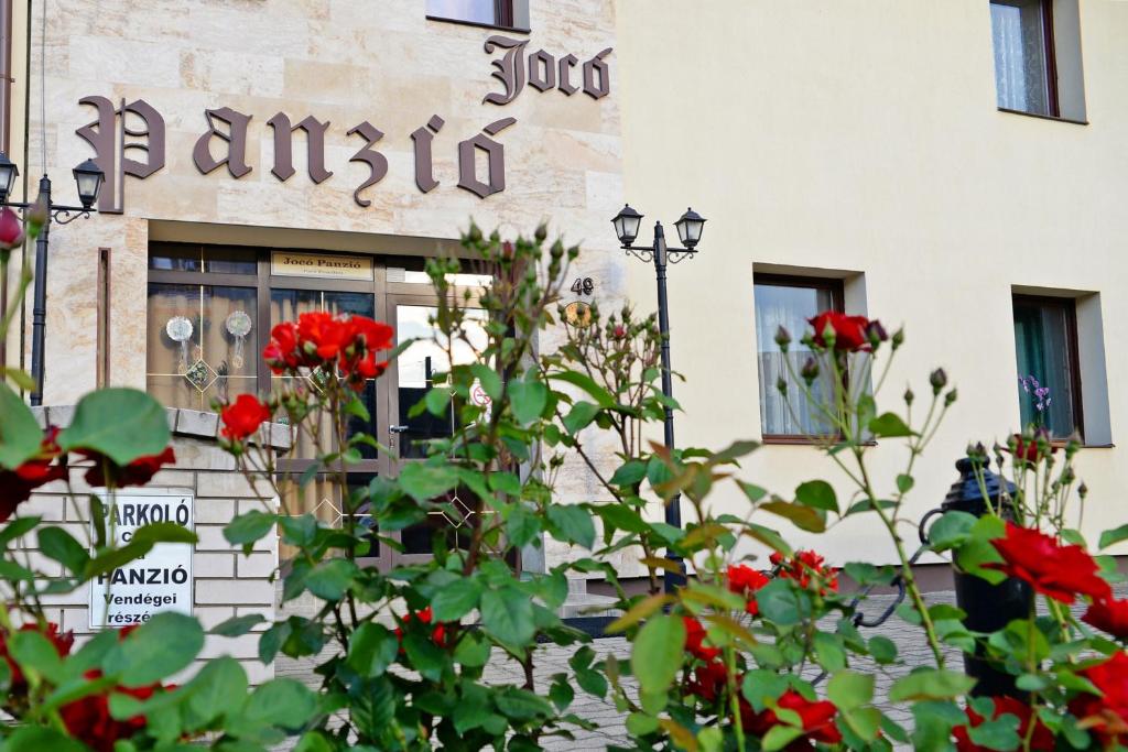A garden outside Jocó Panzió