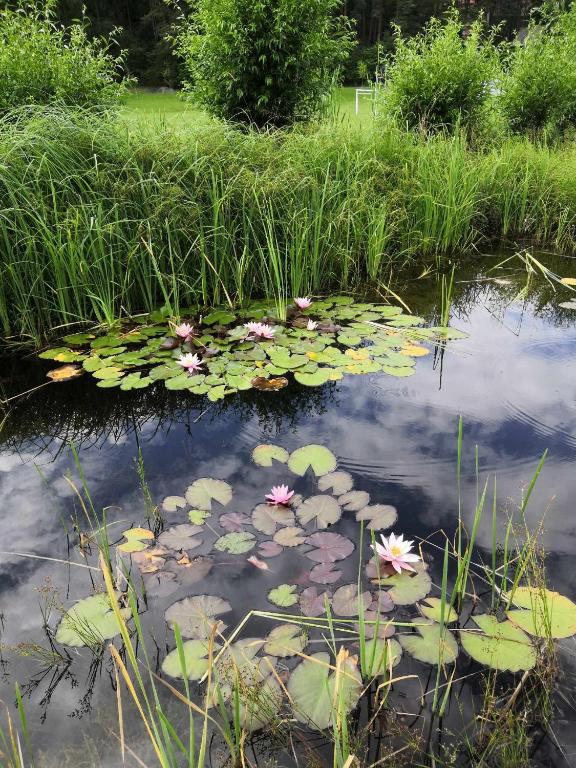 Paesaggio naturale nelle vicinanze della casa vacanze