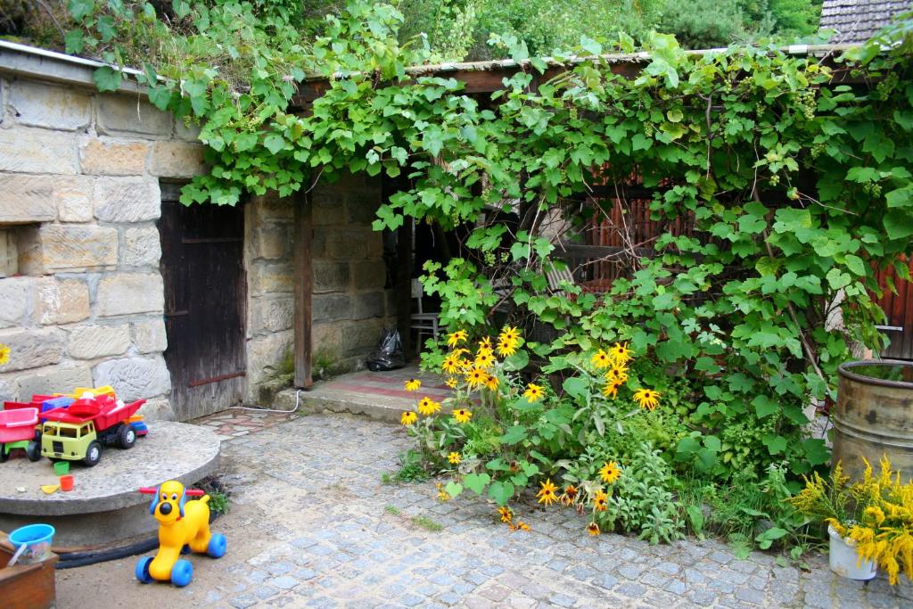 Giardino di Chalupa Branžež Komárovský rybník