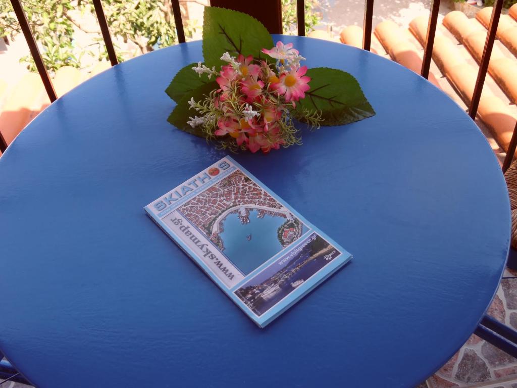 Pansion Pandora - 13