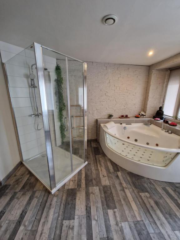 Das Bad ist mit einer Badewanne und einer Glasdusche ausgestattet. in der Unterkunft Appartement Romantique in Masevaux