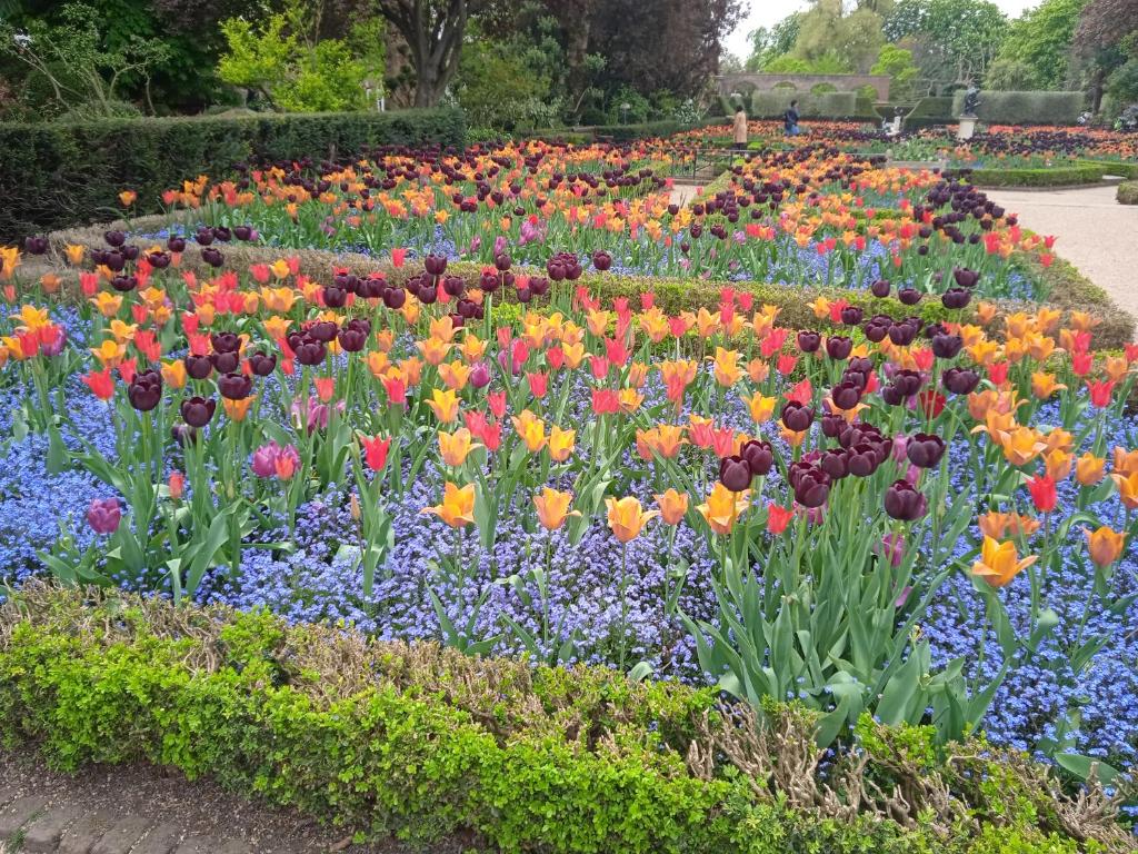 um jardim de flores coloridas em um parque em Available room per day em Birmingham