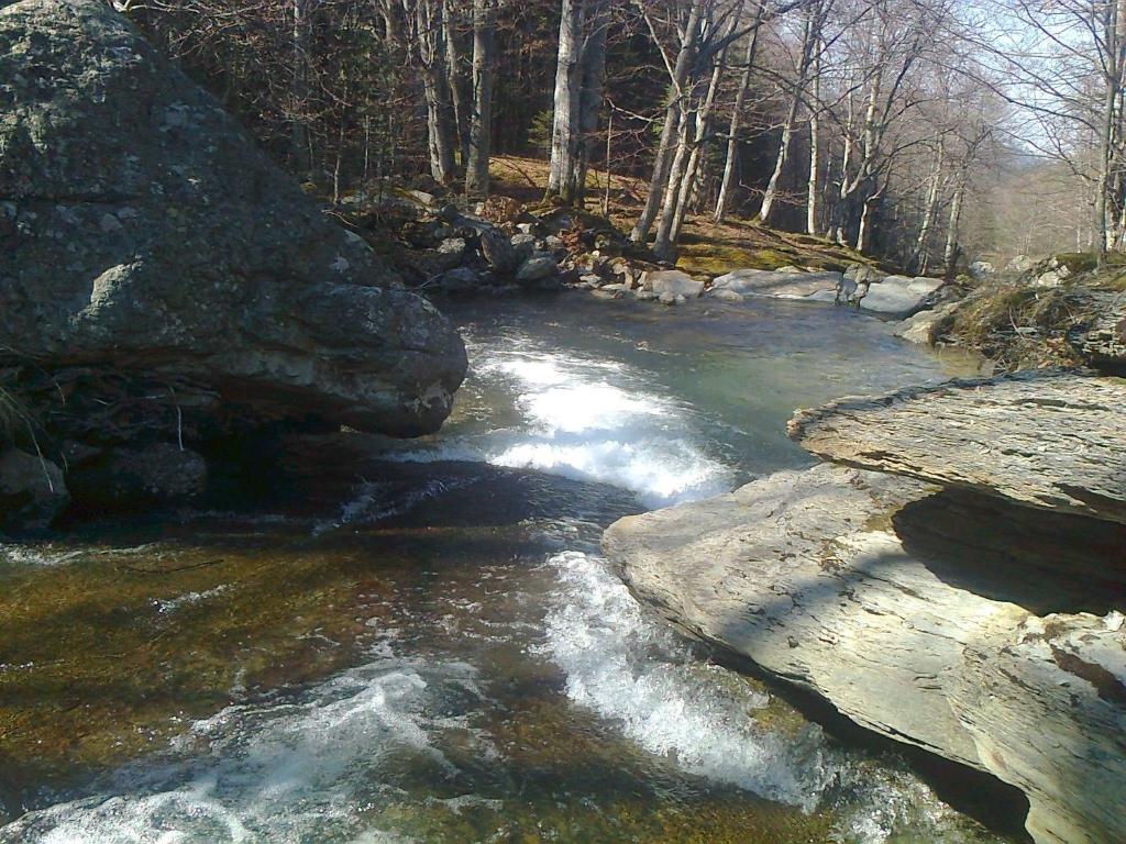 um riacho de água com pedras numa floresta em Къща за гости Край реките em Apriltsi