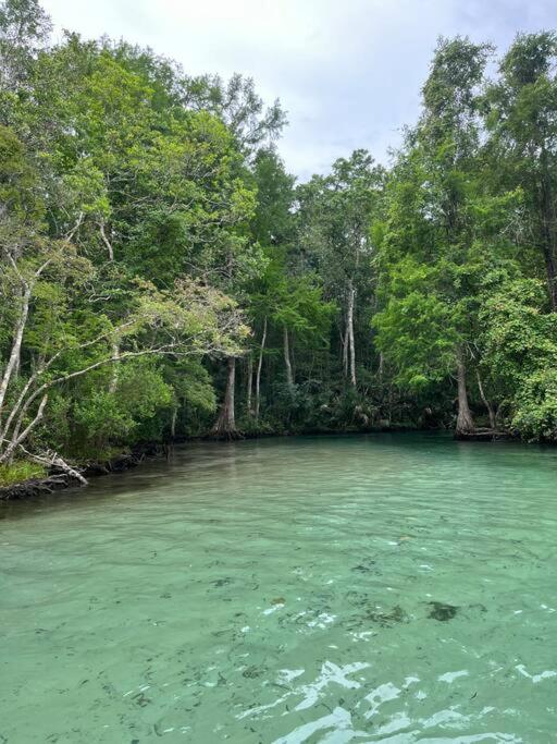 Weeki Wachee Retreat Canal home with hot tub kayaks canoe and boat with trolling motor included - Maison De Trois Chambres
