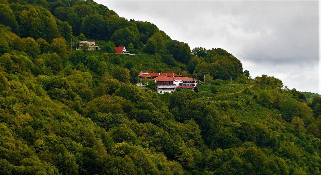 Příroda nedaleko hotelu