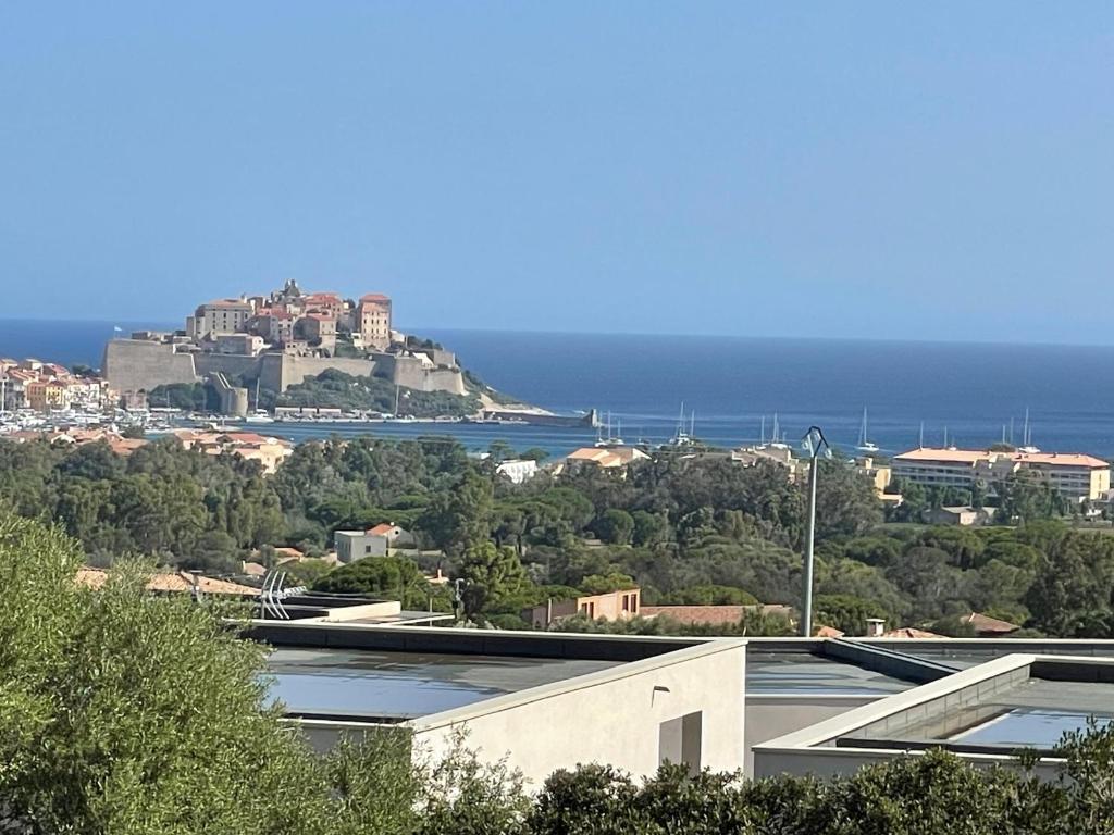 a view of the city of šibenik and the ocean at Villa de standing in Calvi