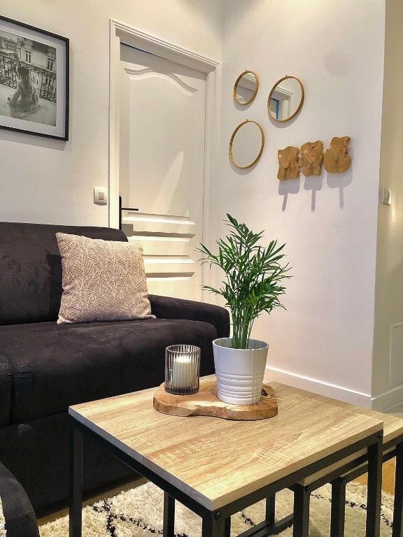 un salon avec un canapé et une table basse dans l'établissement Appartement rue de Javel, à Paris