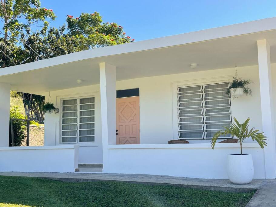 a white house with a potted plant in front of it at Casa Eve near Gozalandia Waterfalls in San Sebastian