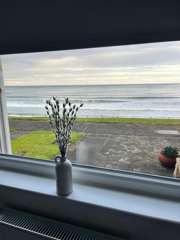 a vase sitting on a window sill with a view of the ocean at Dolphin view in Spittal