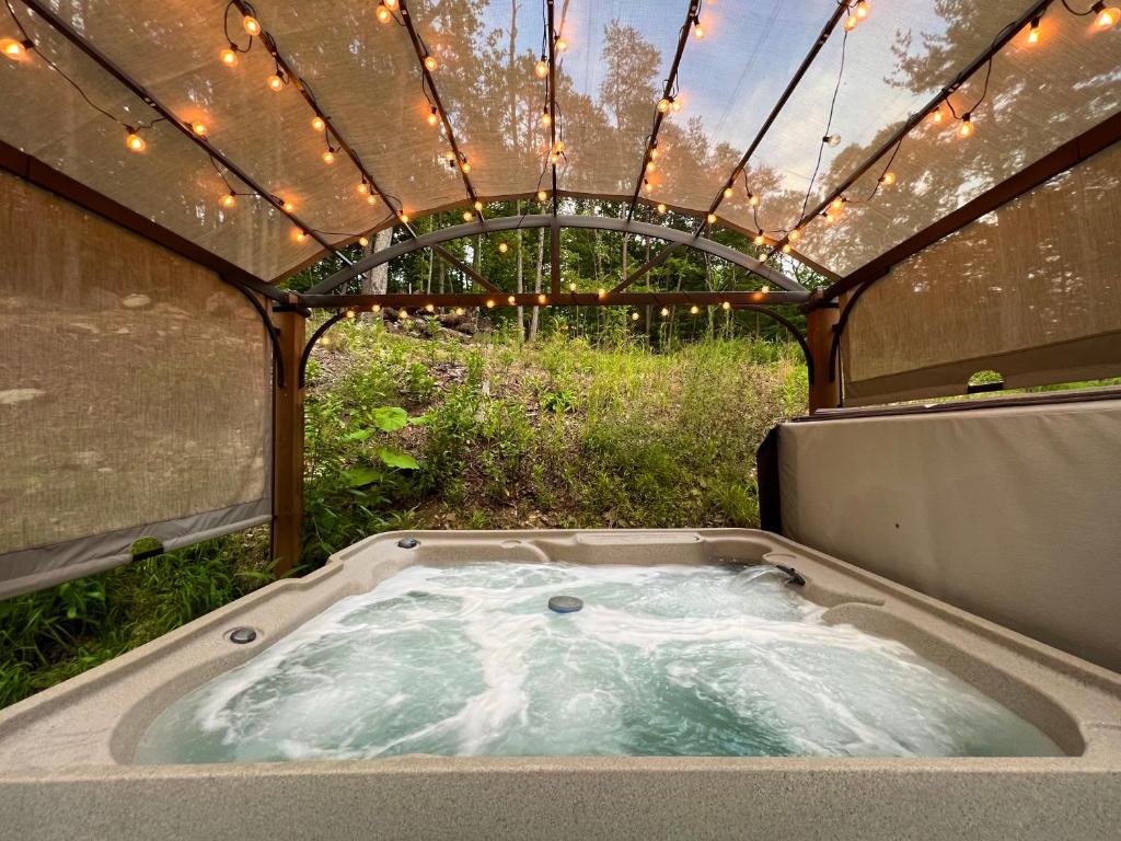 Dreamy Couples Cabin in the Shenandoah Forrest photo