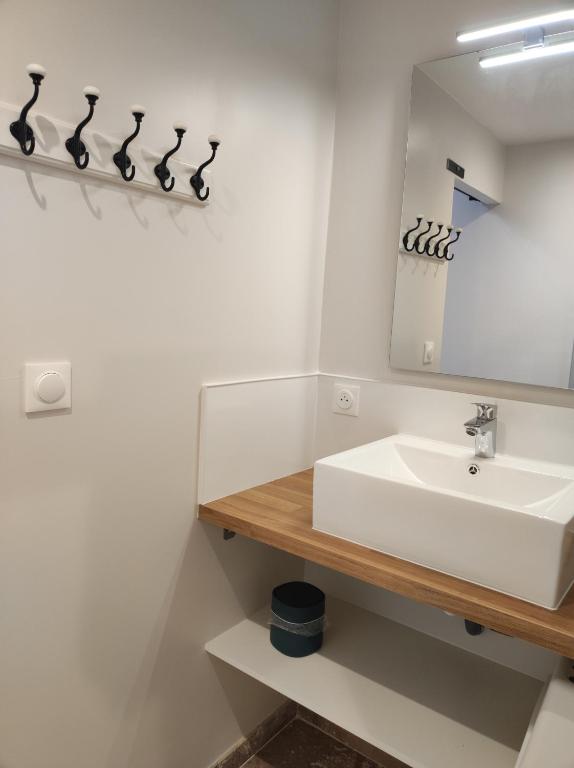 a bathroom with a white sink and a mirror at Studio 30m2 La Cave - Les Gîtes du Lac - Proche Nantes in La Chevrolière