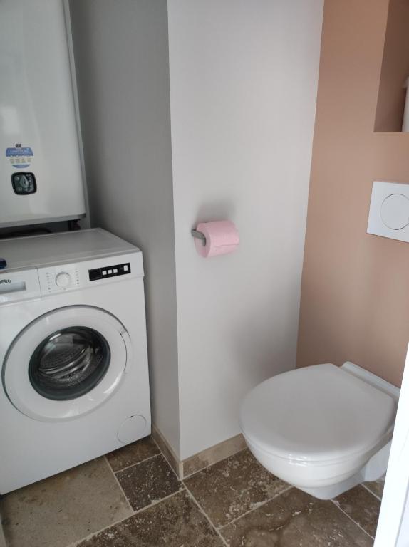 a bathroom with a washing machine and a toilet at Studio 30m2 La Cave - Les Gîtes du Lac - Proche Nantes in La Chevrolière
