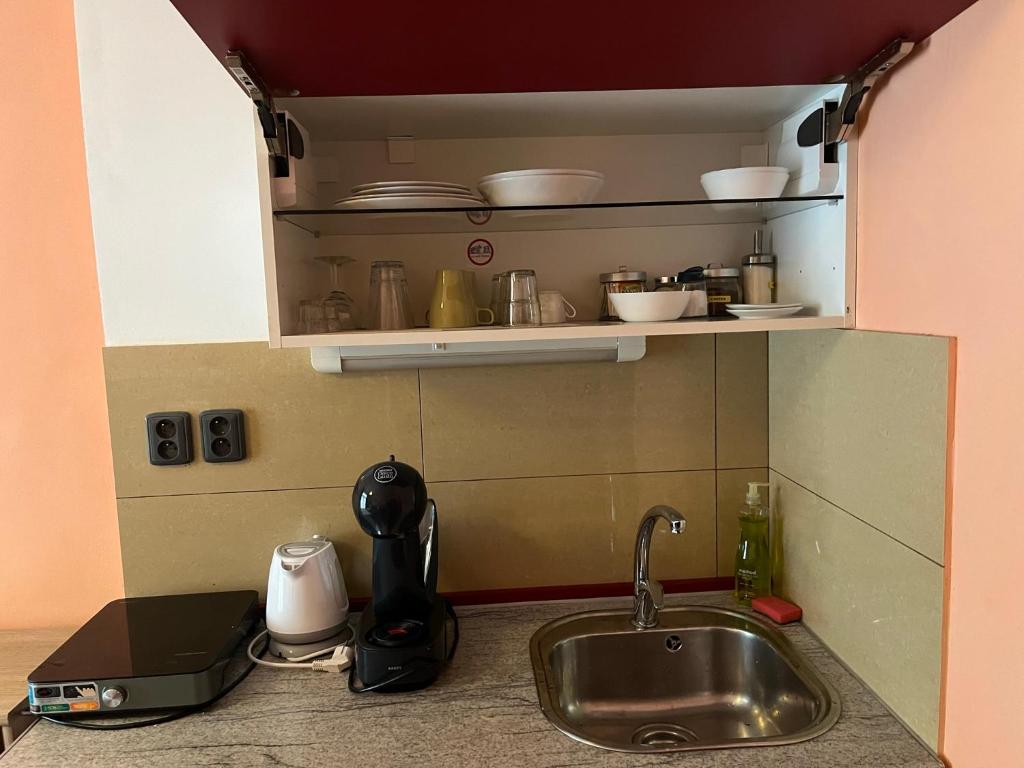 Kuchyň nebo kuchyňský kout v ubytování Rezidence Davids Apartments