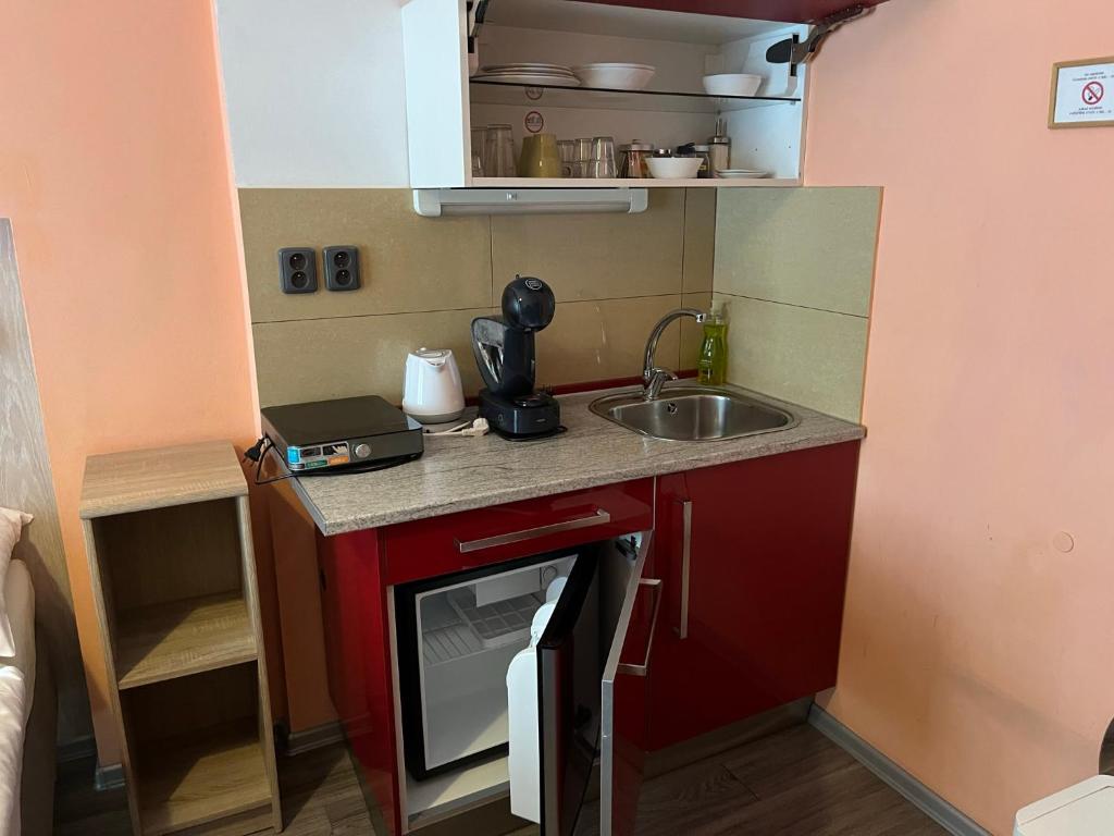 Rezidence Davids Apartments - 4