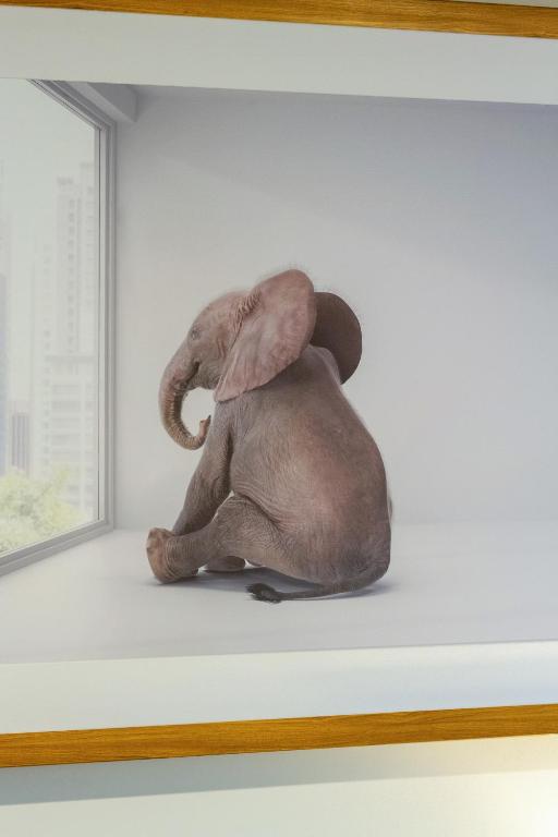 Downtown Delight 2 Bed 1 Bath - Single Garage - Resim 32