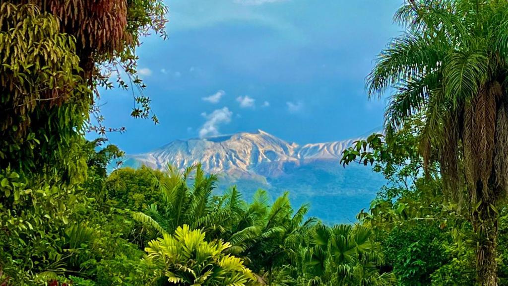 Blue River Resort & Hot Springs photo