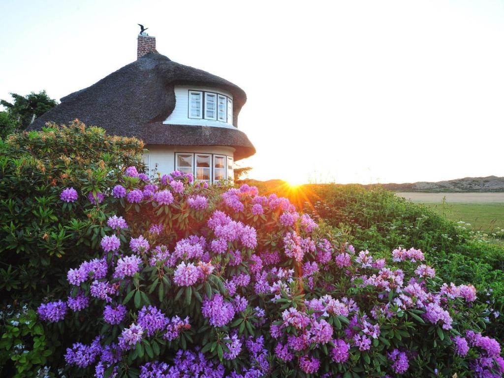 a house with a bunch of flowers in front of it at Watthues in Kampen