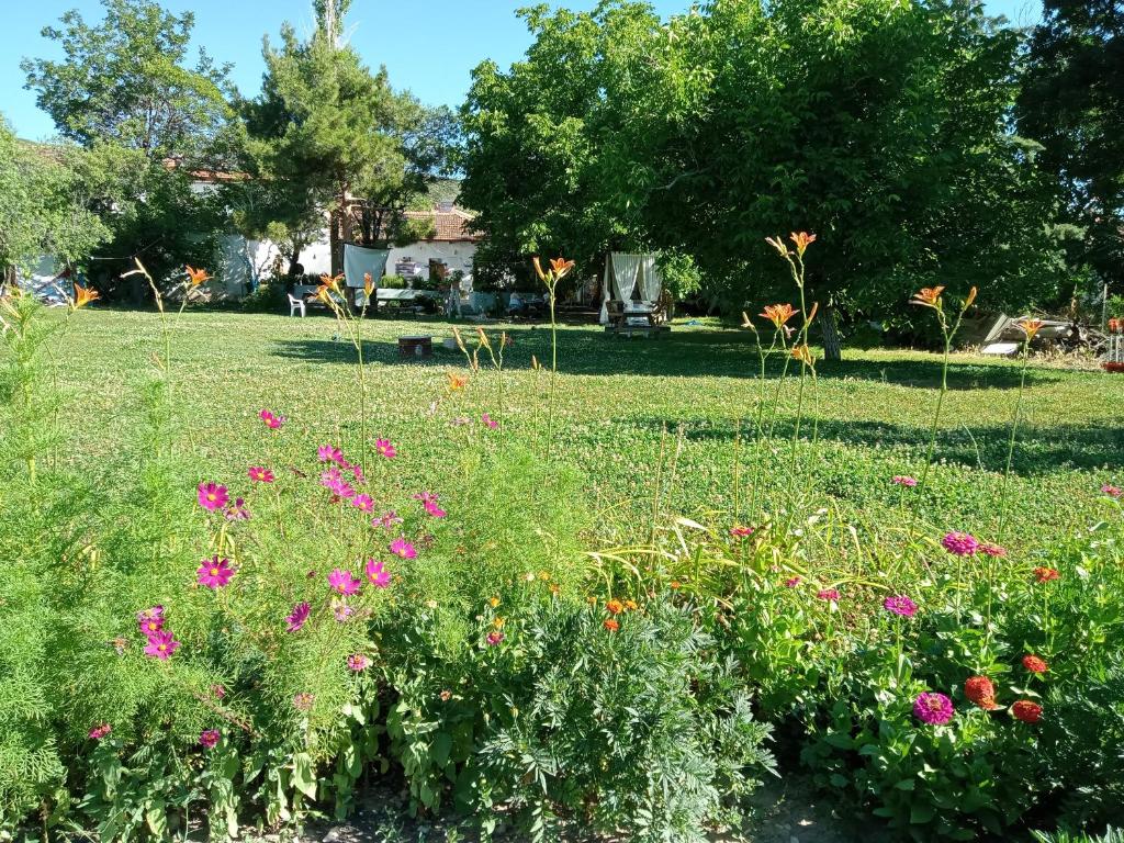 un jardín con flores rosas en la hierba en Salda Gölü Koca Kapı Konaklama, en Yeşilova