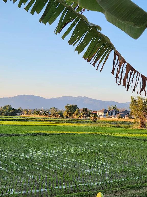 Annahouse - Resim 21