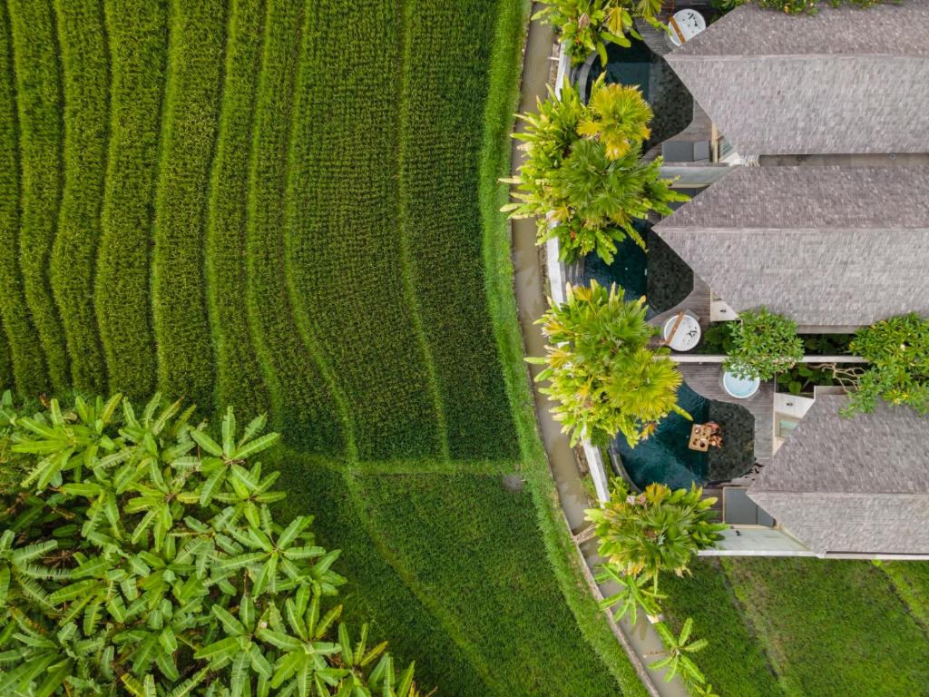 Zahrada ubytování Astera Luxury Resort & Spa Canggu by Ini Vie Hospitality
