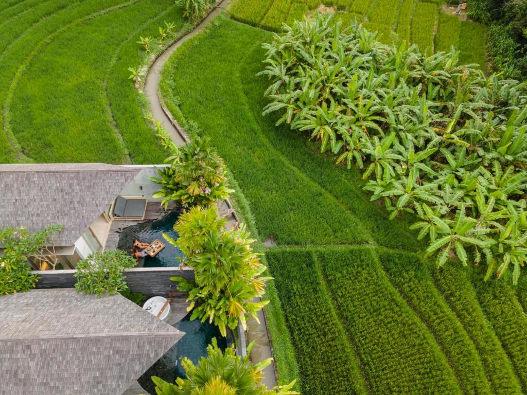 Zahrada ubytování Astera Luxury Resort & Spa Canggu by Ini Vie Hospitality