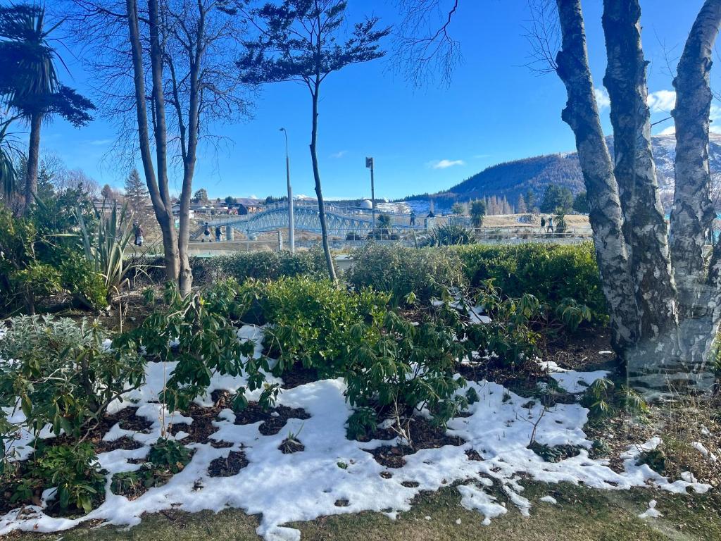 Garden Cottage - Lake Tekapo - Resim 16