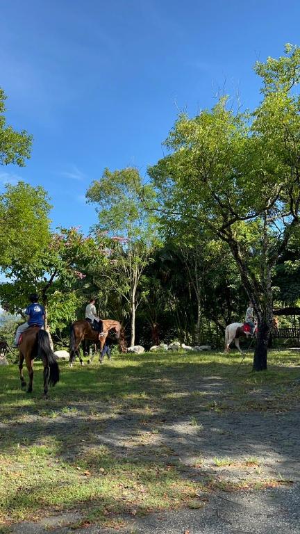 a group of people riding horses in a field at Bay of Stars in Ji&#39;an