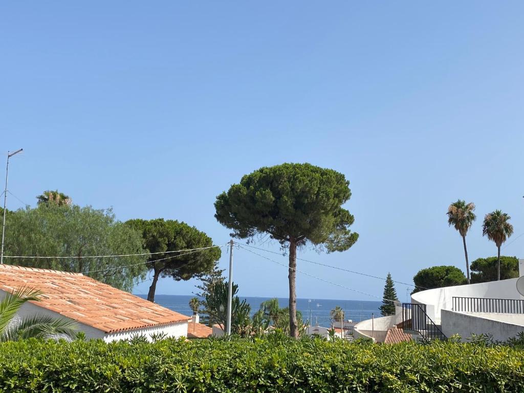 a house with a tree and the ocean in the background at Villa Titti Residence la Bussola in Fontane Bianche