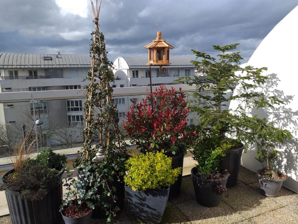un groupe de plantes en pot assises sur un balcon dans l'établissement Sur les toits d'Orléans, à Orléans