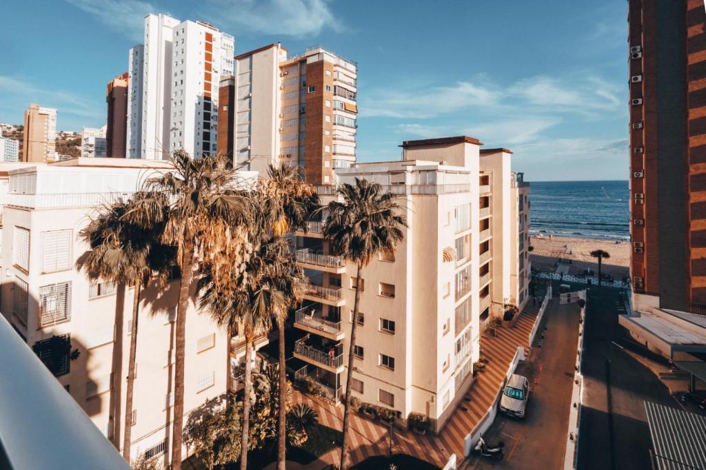 贝尼多姆Penthous vue sur mer à Benidorm的享有棕榈树和大海的城市美景。